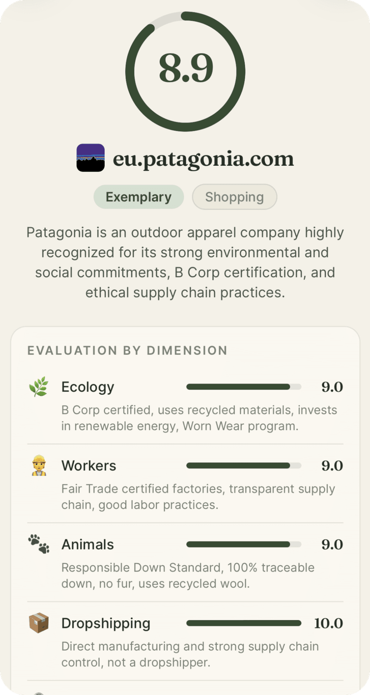 Ethara app: detailed ethical analysis of a website, dimension by dimension, showing what brands would rather hide