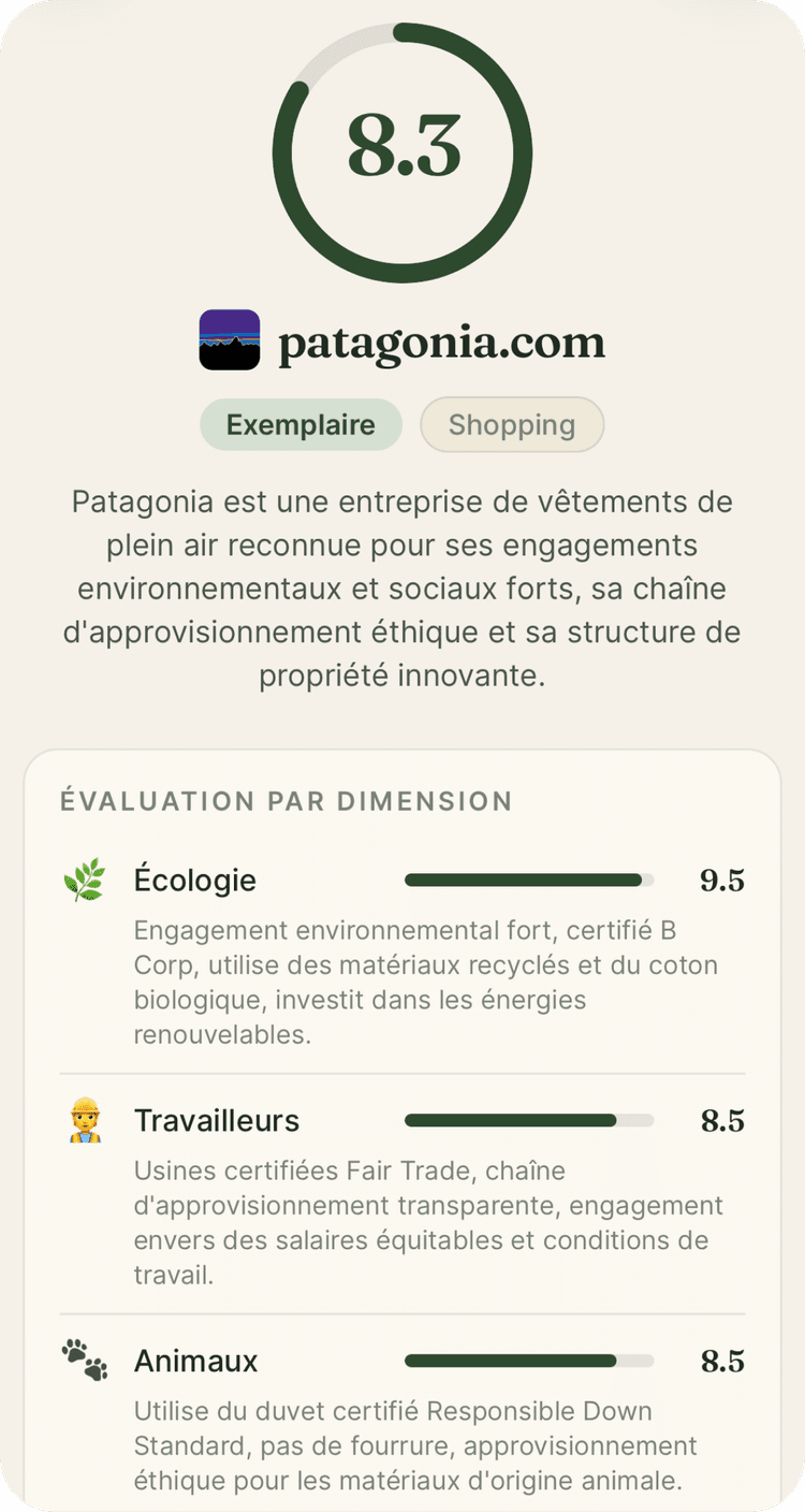 Application Ethara : analyse éthique détaillée d'un site, dimension par dimension, pour voir ce que la marque préfère cacher
