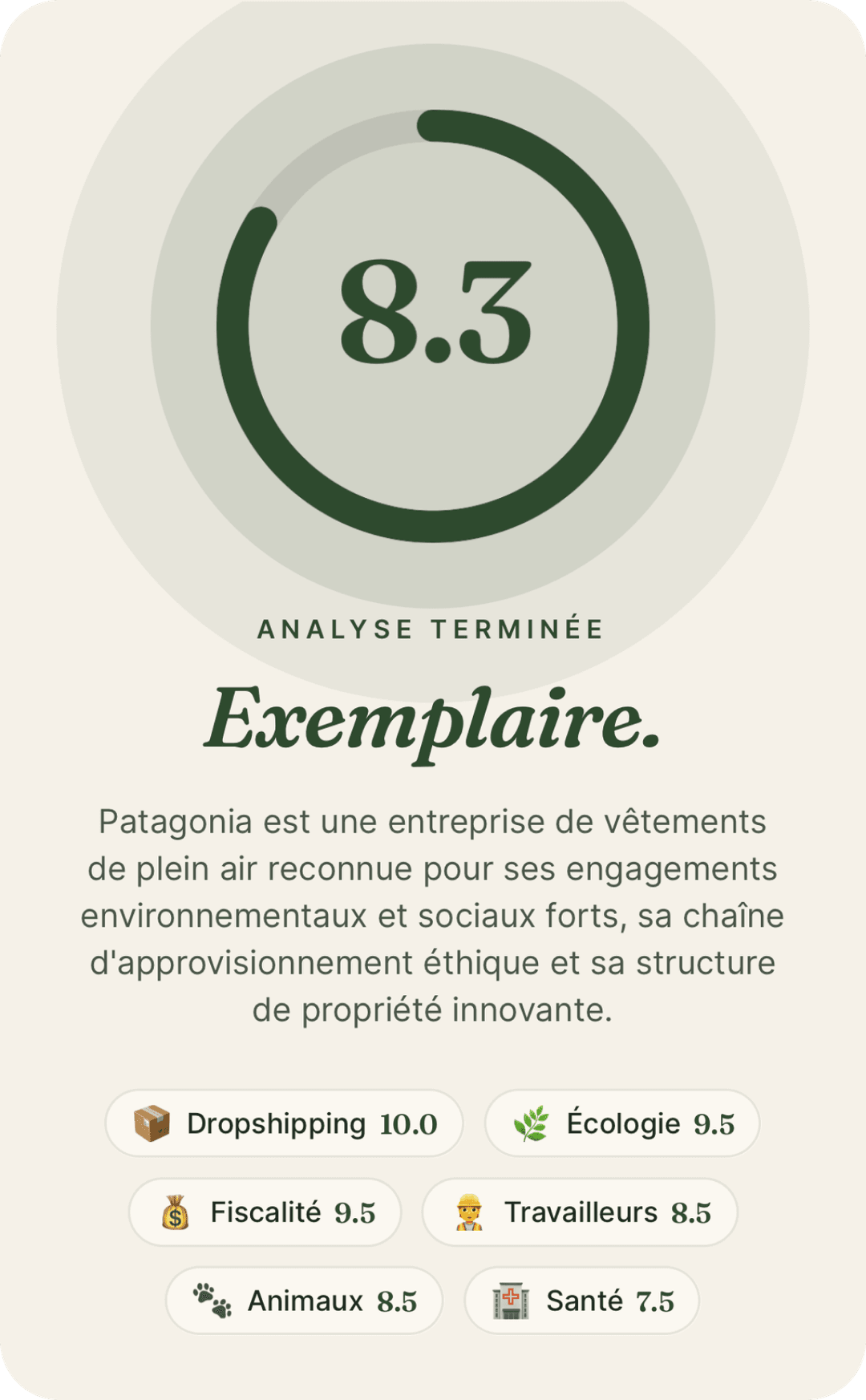 Application Ethara affichant le score éthique d'un site web en un clic, avec analyse détaillée sur sept dimensions : écologie, travailleurs, dropshipping, fiscalité, animaux, santé, diversité